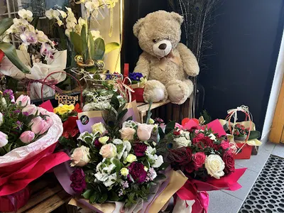 Kwiaciarnia Zamość - Sunflowers